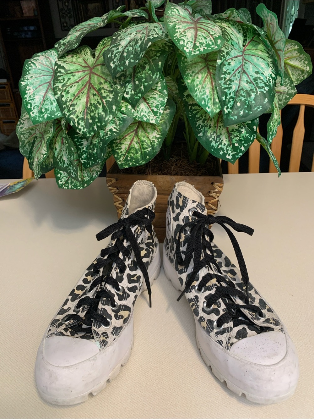 Converse Womens High-Top Leopard Print Canvas Sneakers in Black and White